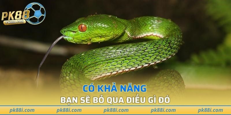 Có khả năng bạn sẽ bỏ qua điều gì đó