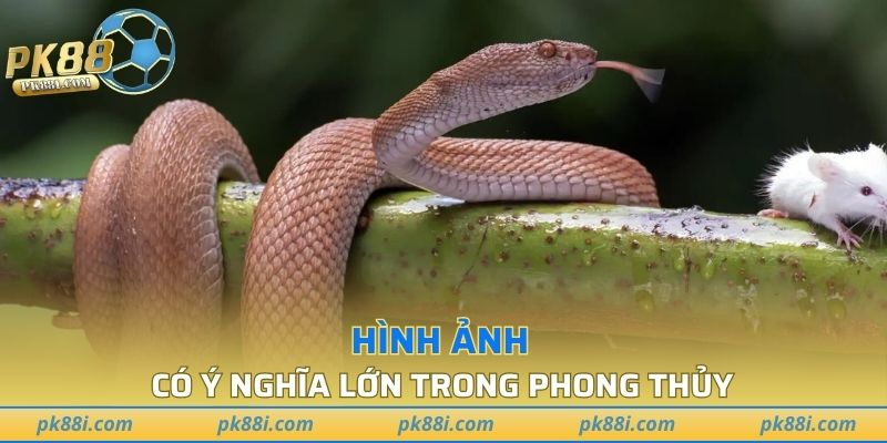 Hình ảnh có ý nghĩa lớn trong phong thủy