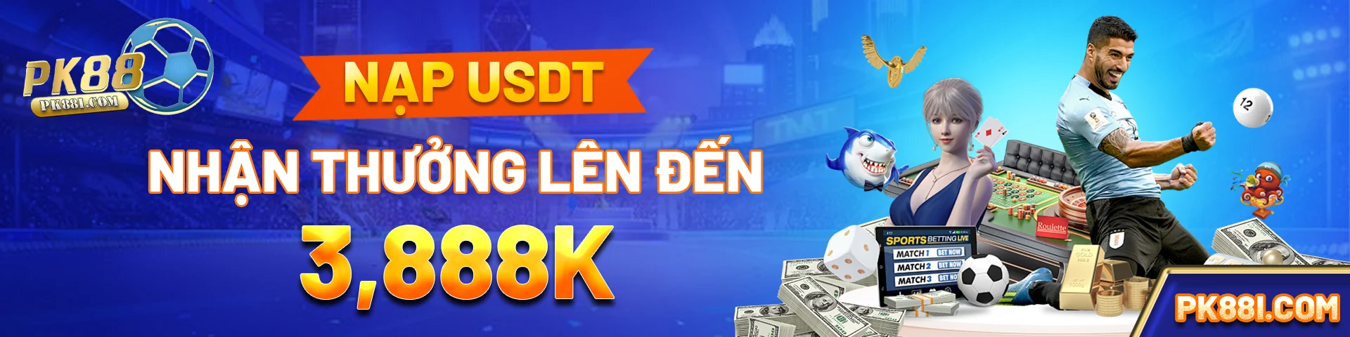 Banner PK88