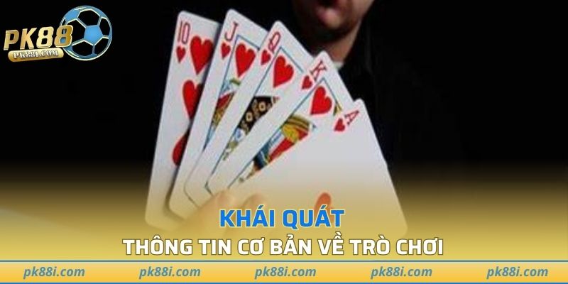 Đôi nét thông tin về game