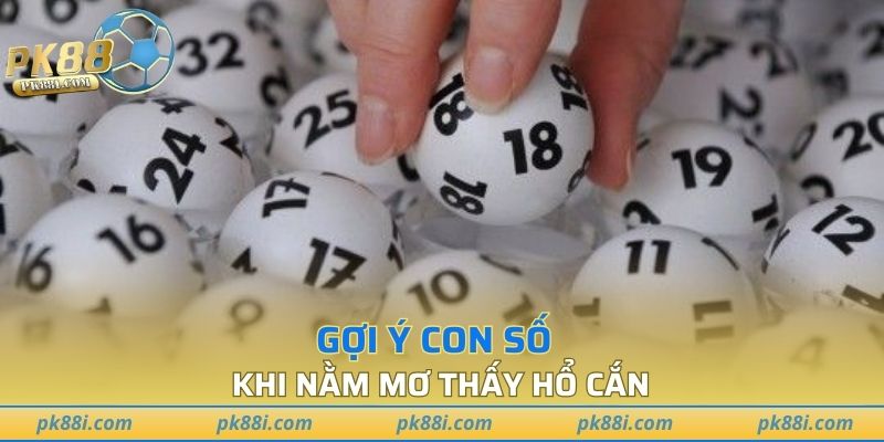 Gợi ý con số khi nằm mơ thấy hổ cắn