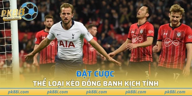 Tham gia đa dạng thể loại